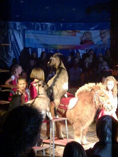 Leuchtende Kinderaugen gab es auch beim Projektzirkus Phantasia der Grundschule Birkenwerder
