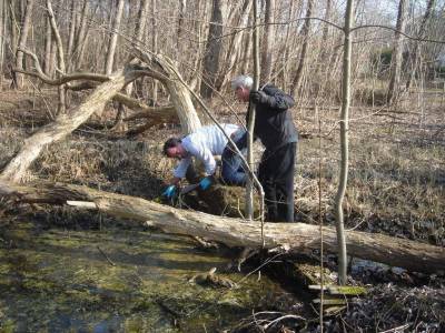 Voller Köpereinsatz beim Brieseputz 2012