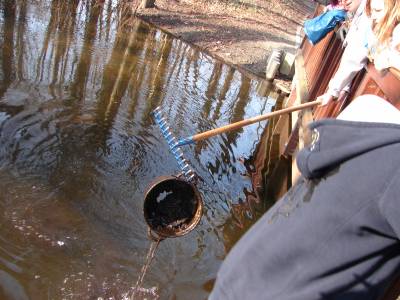 Auch ein Eimer wurde aus der Briese geborgen