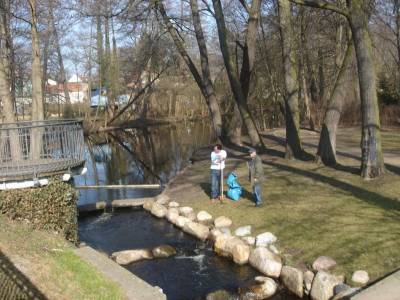 CDU-Ortsvorsitzender Roger Pautz und Grünen-Chef Bernd Gräber bei der Lagebesprechung